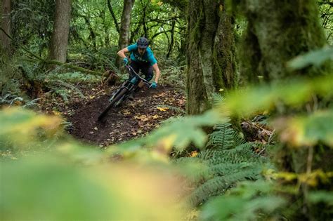 Sumas Mountain Bike Trails | Trailforks