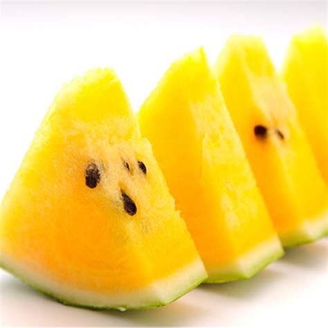 Yellow Watermelon Seeds Fresh Watermelon Seeds 50 pcs - Fruit Seeds