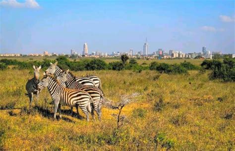 27 Peak Tourist Attractions in Nairobi unveiled. - Into Safaris