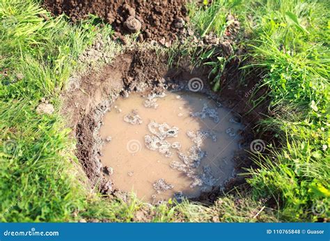 Hole in Ground, Soil and Water Stock Photo - Image of plantation, seed ...