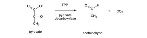 Solved Pyruvate decarboxylase is an enzyme that catalyzes | Chegg.com