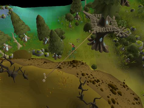 File:Prifddinas Agility Course (11).png - OSRS Wiki