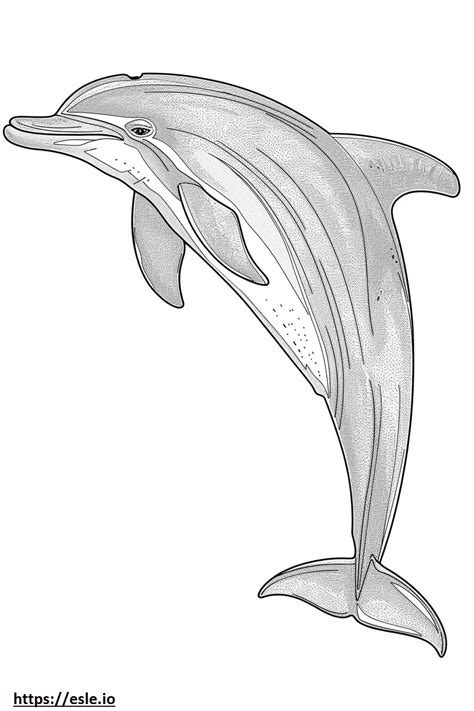 Amazon River Dolphin (Pink Dolphin) cartoon coloring page