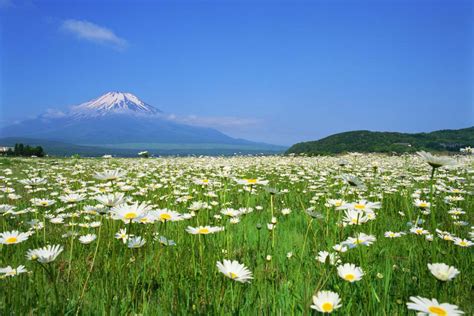 Lake Yamanaka Camping - Lake Yamanaka | ZEKKEI Japan - Lake yamanaka is ...