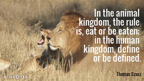 Animal Kingdom Quotes - myrissakrenzler