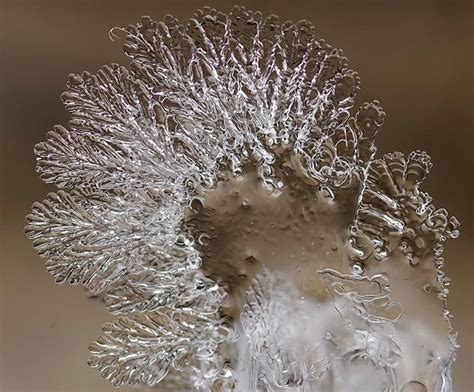 Snowflakes Macro Photography – Fubiz Media