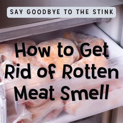 Say Goodbye to the Stink: How to Get Rid of Rotten Meat Smell