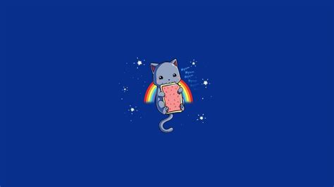 Download 'A Rainbow of Fun with This Cat Meme!' Wallpaper | Wallpapers.com