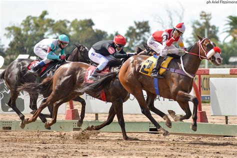 Es De Dato: |PRONOSTICO - HIPODROMO DE LA PLATA - DOMINGO 28/3/2021|