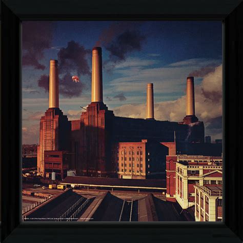 Pink Floyd Animals - 12"" x 12"" Framed Album Prints | IWOOT