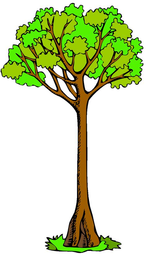 Family Tree Clipart - ClipArt Best