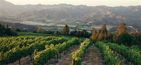 Napa Valley | Explore Napa Valley Online