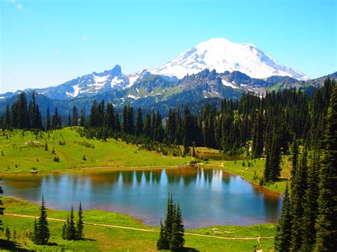 5 Hikes to Celebrate Summer Solstice - ThurstonTalk