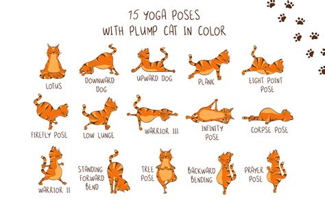 Yoga Cats By Annykos | TheHungryJPEG