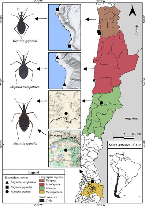 Frontiers | Transcriptome-based phylogenomic analysis reveals evidence of ancient hybridization ...