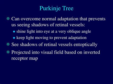 PPT - Entoptic Phenomena of Retinal Origin PowerPoint Presentation, free download - ID:3000967