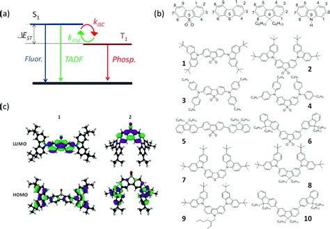 The contributions of molecular vibrations and higher triplet levels to the intersystem crossing ...