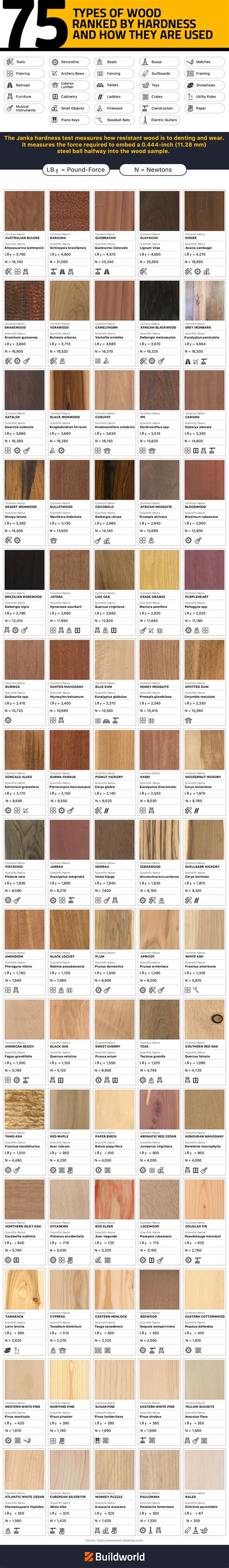 Different Wood Types – Their Hardness And Uses | Buildworld UK