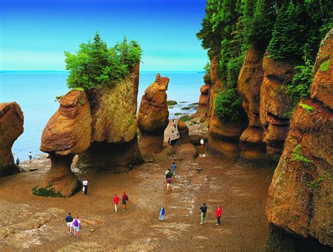 Explore the Natural Wonders of Saint John, New Brunswick with Disney Cruise Line | Disney Parks Blog