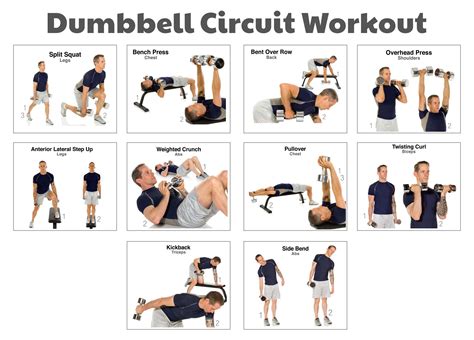 Printable Dumbbell Exercises With Pictures - Printable Word Searches