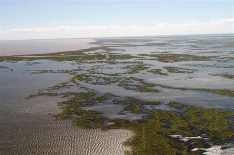 Massive Louisiana wetlands project gets underway - The Wildlife Society