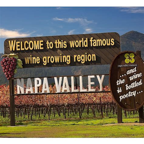 Wine Tasting Tour in Napa Valley by Spur Experiences® | Bed Bath & Beyond in 2021 | Wine tasting ...