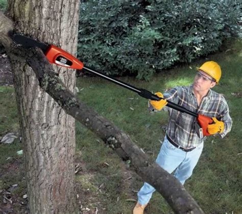 How to Use a Cordless Pole Saw