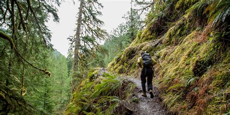 Clackamas River Trail | Outdoor Project