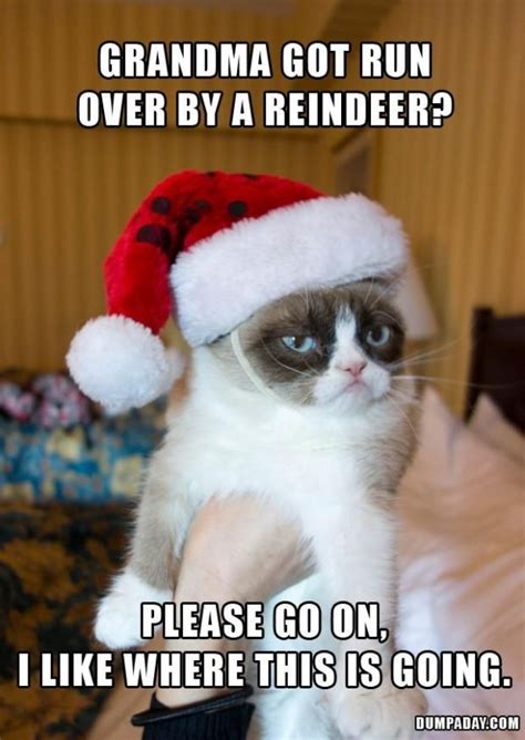 Grumpy Cat Hates Christmas Funny Meme – FUNNY MEMES