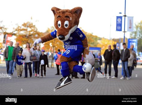 Leicester City mascot Filbert Fox performs tricks with a football ...