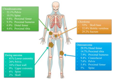 Topo 29+ imagem bone rosa approve - br.thptnganamst.edu.vn