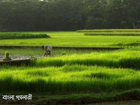 two people are working in the field with green grass