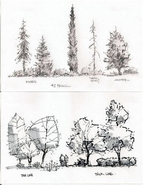 You have to see entourage - trees by Russell Black! | Landscape sketch, Landscape drawings ...