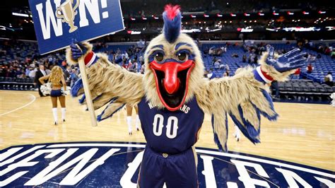 Pelicans mascot undergoes facial surgery, photographed in recovery - SBNation.com