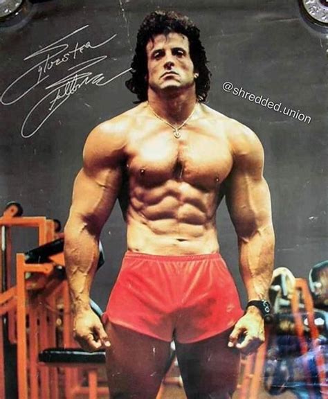 Double tap for the legend | Sylvester stallone, Sylvester, Bodybuilding