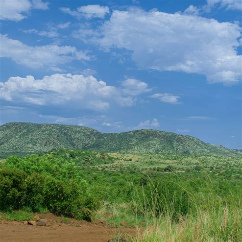 Pilanesberg National Park - The Roaming Taster