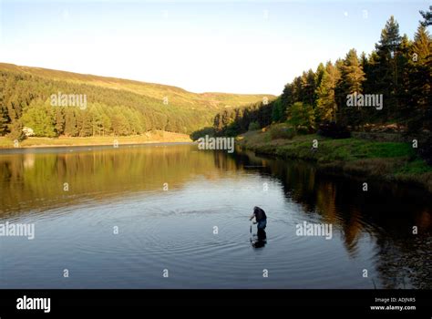 fishing in the reservoir Stock Photo - Alamy