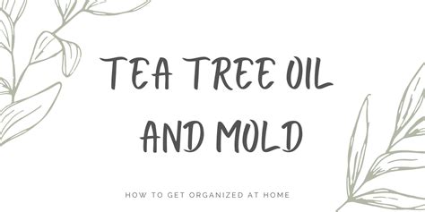 How To Use Tea Tree Oil To Kill Mold