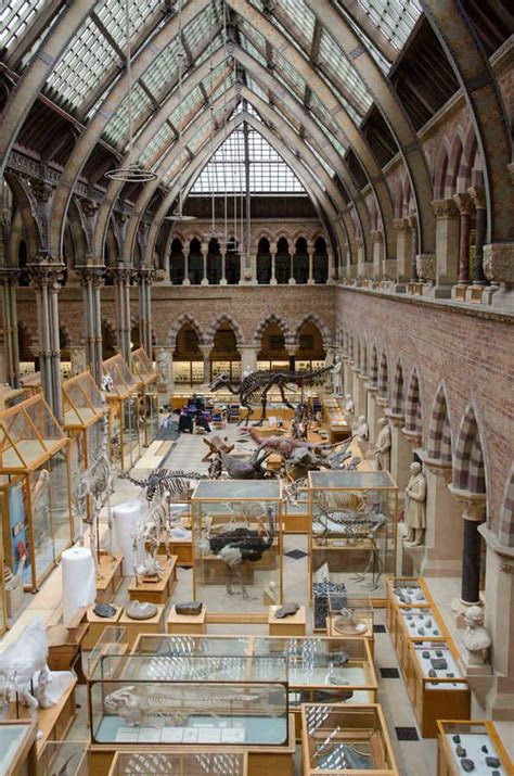 Oxford University Museum of Natural History - e-architect | English architecture, Oxford college ...