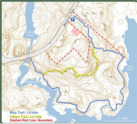 Trail Map - Moultonborough Falls Conservation Area