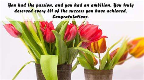 Congratulations Wishes Messages For Promotion Of Colleague - WishesMsg