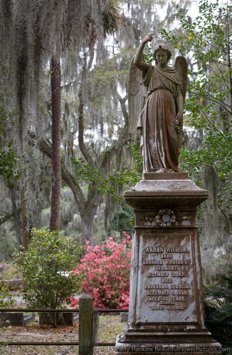 Bonaventure Cemetery in Savannah, Georgia :: Beautiful Flower Pictures Blog