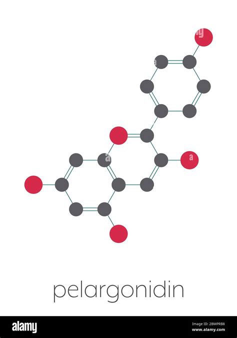 Pelargonidin pigment molecule. Stylized skeletal formula (chemical structure): Atoms are shown ...