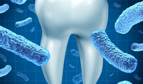 Systemic Antibody Responses to Oral Bacteria with Aging