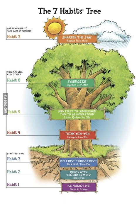 7 HABITS WIIL MAKE YOU BETTER | 7 habits tree, Leader in me, 7 habits