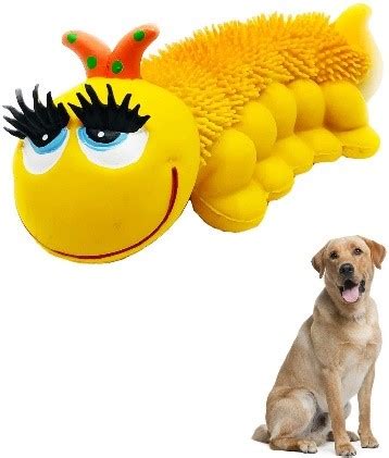 Toys For Blind Dogs - Caring for a Senior Dog