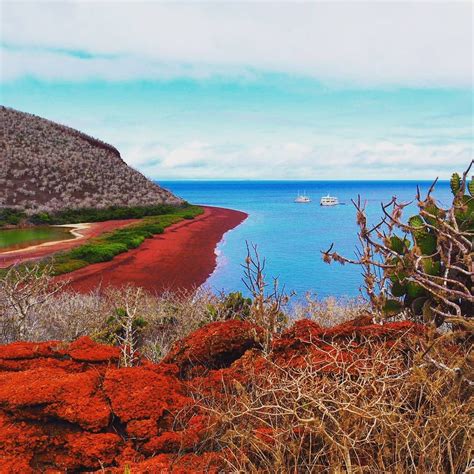 Galapagos National Park / Galapagos National Park: A UNESCO World ...