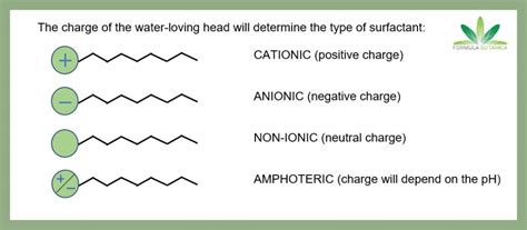 5 Natural Surfactants for use in Organic Cosmetics - Formula Botanica