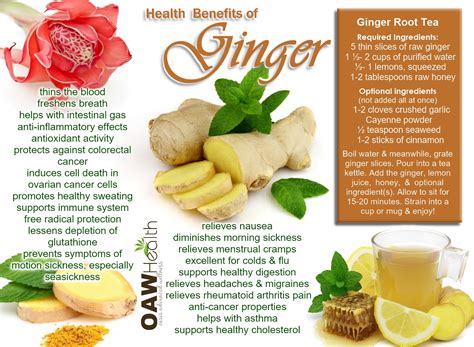 Health Benefits of Ginger - OAWHealth