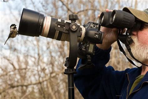 3 Best DSLR Cameras for Wildlife Photography [Read Before Buying]